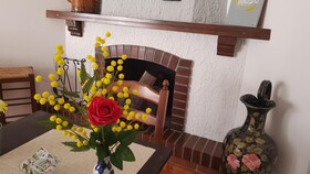 Mimosa Bed and Breakfast