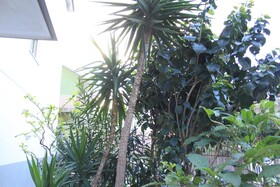 Mimosa Bed and Breakfast