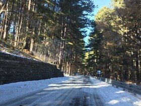 Mimosa Bed and Breakfast