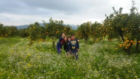 Villa Laura Apartment