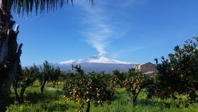 Villa Laura Apartment