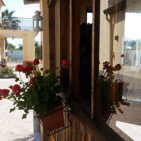 Villa Laura Apartment