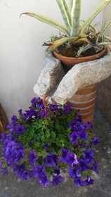 Villa Laura Apartment