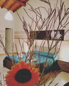 Villa Laura Apartment