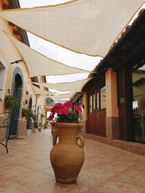 Villa Laura Apartment