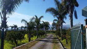 Villa Laura Apartment