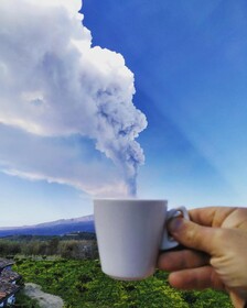 Villa Laura Apartment