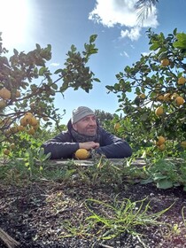 Villa Laura Apartment