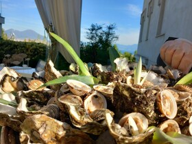 Villa Laura Apartment