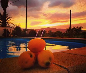 Villa Laura Apartment