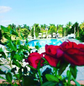 Villa Laura Apartment