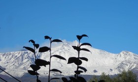Bed And Breakfast Casansaldo