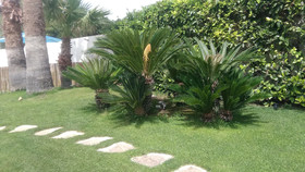 Villa Laura