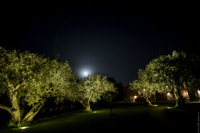 Masseria degli Ulivi