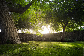 Masseria degli Ulivi