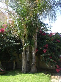 Villa Solare