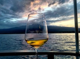 Casa Vacanze Etna Nord Wine House