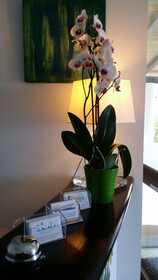 La Zagara Hotel