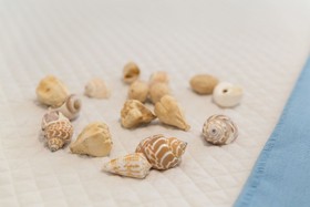 Acqua Azzurra Holiday Home