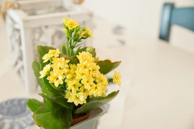 Acqua Azzurra Holiday Home