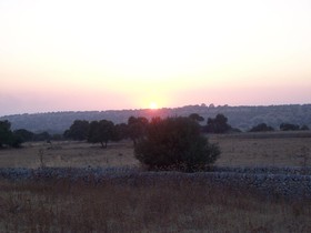 Case di Cutalia
