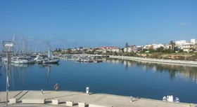 Acacia Marina
