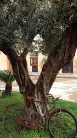 Baglio Cudia Resort