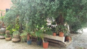 B&B Le Stanze Del Sale