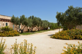 Camping Lilybeo Village