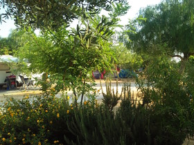 Camping Lilybeo Village