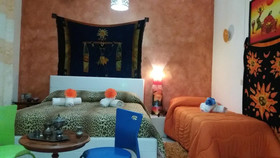 Colomba Bianca