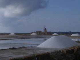 Colomba Bianca