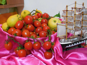 Colomba Bianca