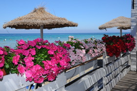 Delfino Beach