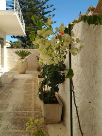Suite Beach B&B and Club