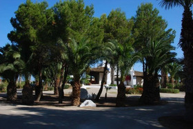 The Holiday And Art Seahorse House
