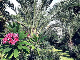Villa Marrone Luxury Residences
