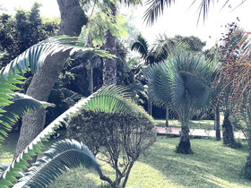 Villa Marrone Luxury Residences