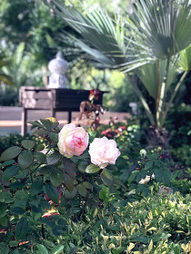 Villa Marrone Luxury Residences