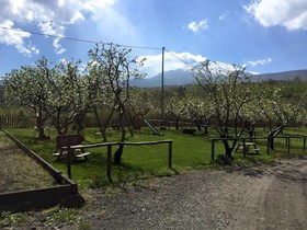Agriturismo Oasi Dell'Etna