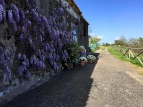 Agriturismo Oasi Dell'Etna