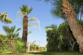 Borgo Barone