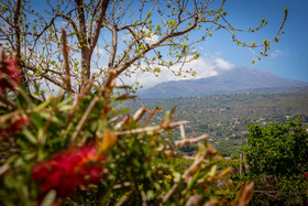 Il Giardino Dei Sogni