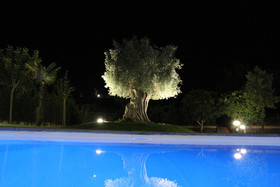 Blanc Maison Etna