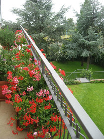 Mister Etna B&B