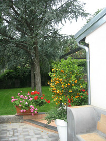 Mister Etna B&B