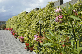 Mister Etna B&B