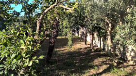Casa Vacanza Summertime