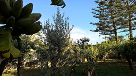 Casa Vacanza Summertime