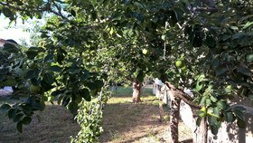 Casa Vacanza Summertime